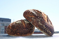 Sunflower Bread, a Derivative of Nancy Silverton's "Olive Bread"